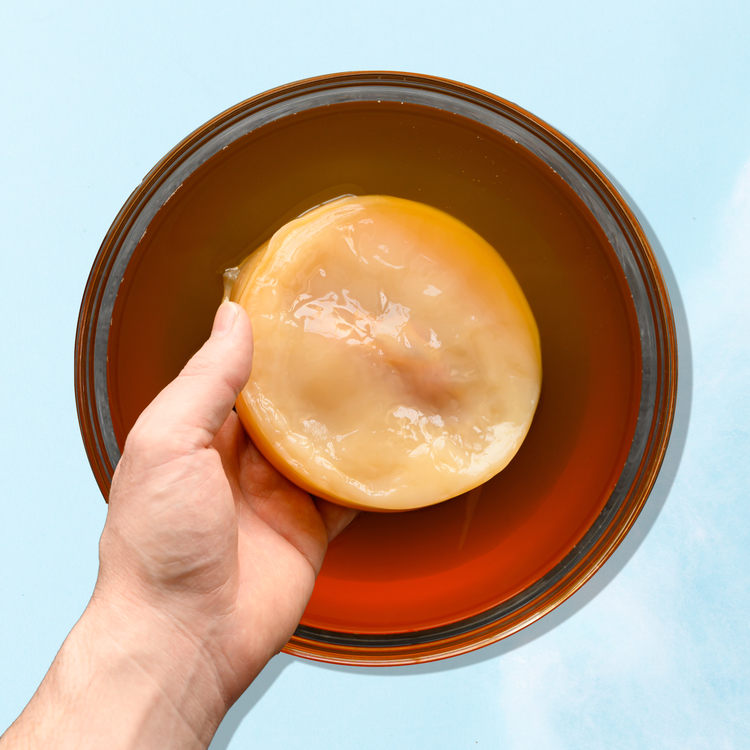 Scoby & Starter Tea