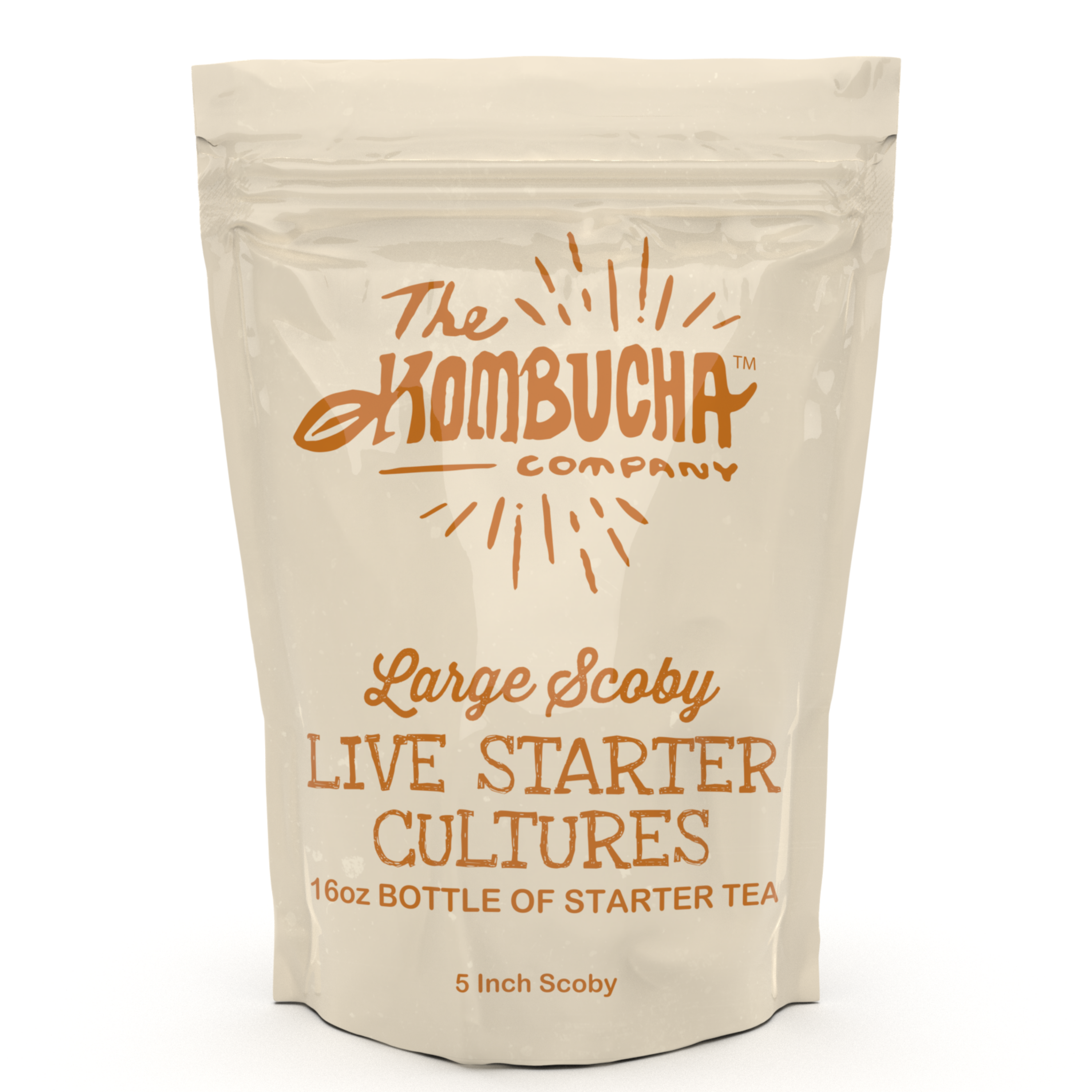 Kombucha SCOBY Pellicle STRONG Starter Tea Probiotic Culture Home Brew  Kombucha Fermented Food & Drinks Sustainable Creative Gift 