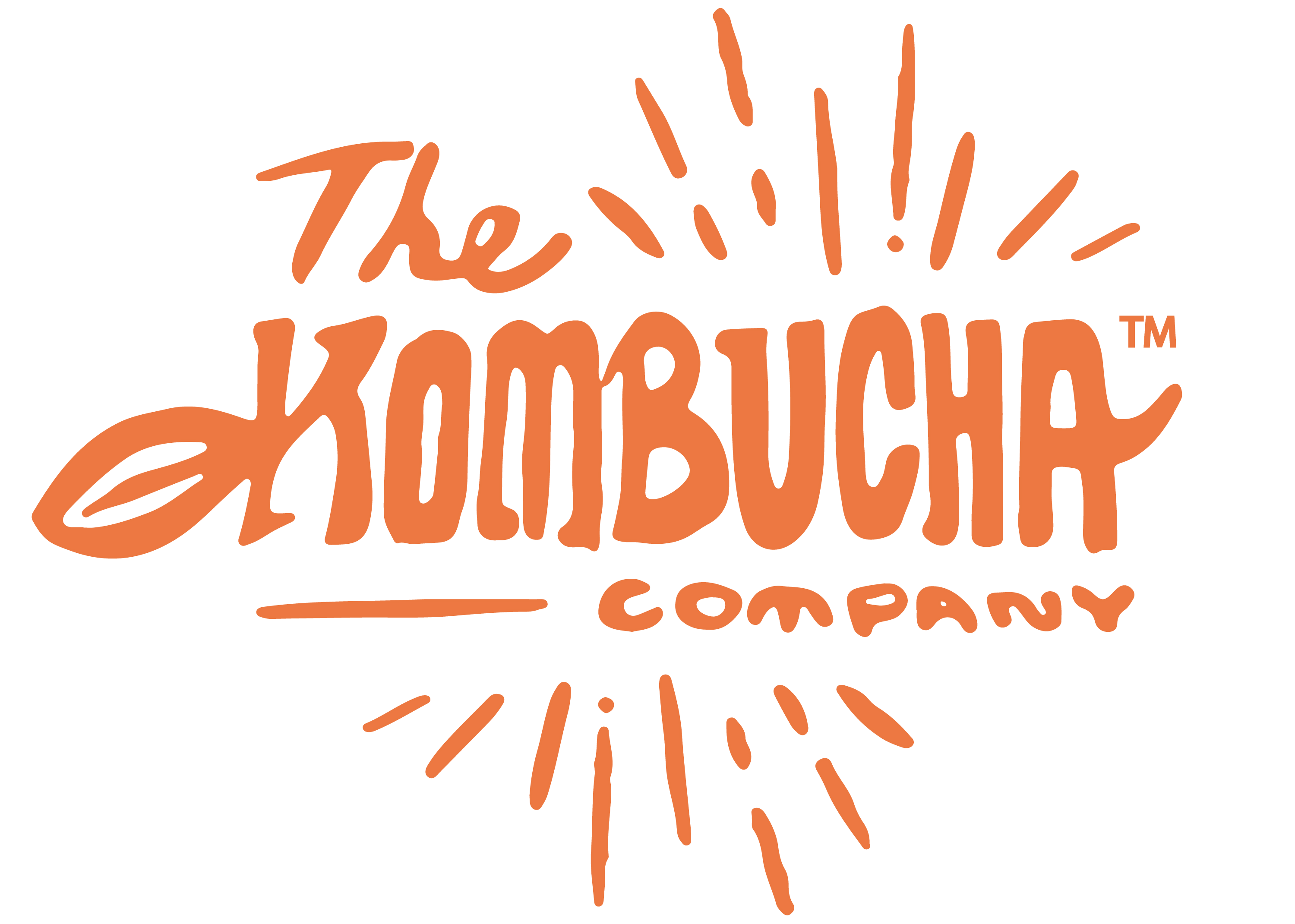 The Kombucha Company Large Kombucha SCOBY | 2X 16 Ounce Bottle of Strong  Live Kombucha Starter Tea Cultures | Makes 2 Gallon | 4 Cups Mature Starter