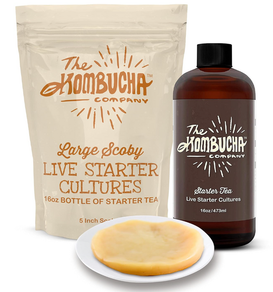 The Kombucha Company Large Kombucha SCOBY |16 Ounce Bottle of Strong Live Kombucha Starter Tea Cultures | Makes 1 Gallon | 2 Cups Mature Starter Tea
