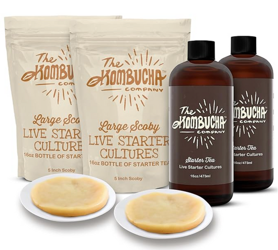 The Kombucha Company Large Kombucha SCOBY | 2X 16 Ounce Bottle of Strong Live Kombucha Starter Tea Cultures | Makes 2 Gallon | 4 Cups Mature Starter Tea