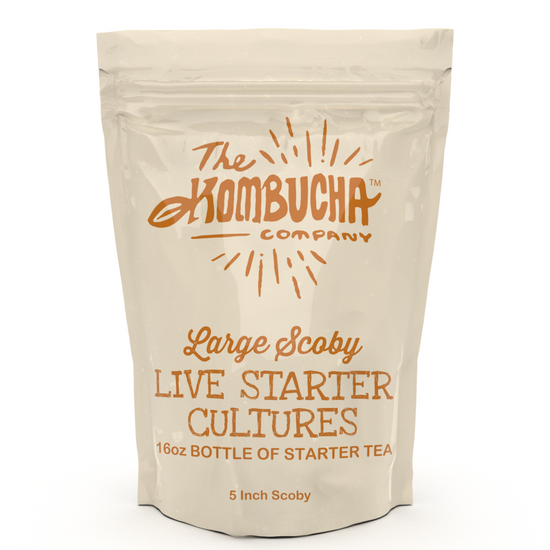 The Kombucha Company Large Kombucha SCOBY |16 Ounce Bottle of Strong Live Kombucha Starter Tea Cultures | Makes 1 Gallon | 2 Cups Mature Starter Tea