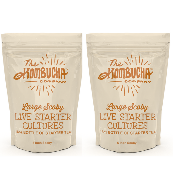 The Kombucha Company Large Kombucha SCOBY | 2X 16 Ounce Bottle of Strong Live Kombucha Starter Tea Cultures | Makes 2 Gallon | 4 Cups Mature Starter Tea